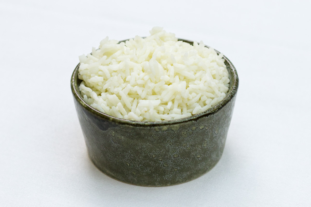kogte-ris-mad-ud-af-huset-naesbyhovedskov