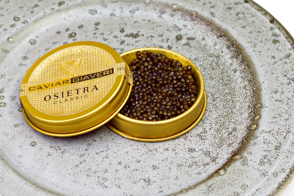 Caviar (15g) som mad ud af huset i Fyn - Næsbyhoved Skov